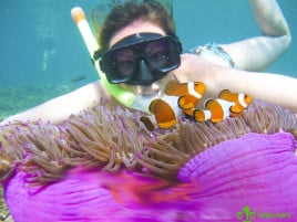 Sảng khoái với tour câu cá - lặn ngắm san hô của resort Novotel Phú Quốc